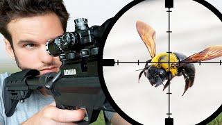Shooting Destructive Bees with High Power Salt Gun!