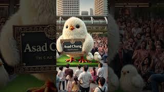 The Star Performer: Fluffy Chick Showcases "Asad Chang #funny