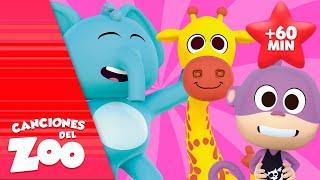 ¡A Cantar y Bailar  con las Mejores Canciones del Zoo! | Canciones del Zoo