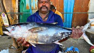 KASIMEDU  SPEED SELVAM | YELLOW FIN TUNA FISH CUTTING VIDEO | IN KASIMEDU | FF CUTTING 