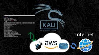 AWS-Cloud Kali-Linux + Beef-XSS Over WAN 2024