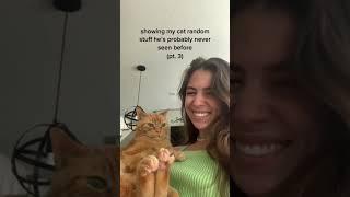 showing my cat random stuff he’s probably never seen before (pt. 3)