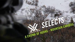 A Crown of Horns - Mountain Caribou ft. Greg McHale's Wild Yukon | Vortex Selects