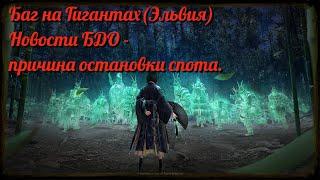 Black Desert / BD: Новости - Причина выключения монстров Гигантов Хадума от 08.06.23