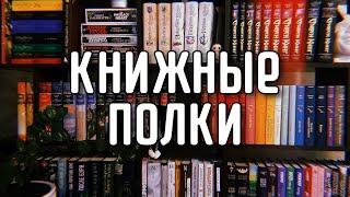 Мои КНИЖНЫЕ ПОЛКИ 2025 / Домашняя библиотека