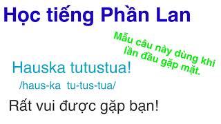 Học tiếng Phần Lan - 2 cách đáp lại câu “Hauska  tutustua!/ Rất vui được gặp bạn!”