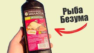 За что рыбаки так уважают "Мелассу" и какая рыба на неё чаще всего идет?