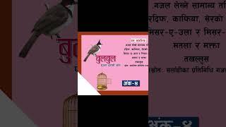 #bulbul #nepalichhapro #achyutghimirebulbul #gazal #nepaligazal