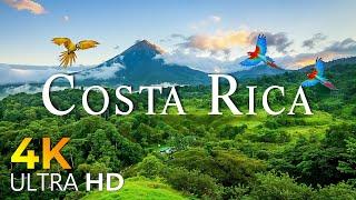 24 HOURS DRONE FILM COSTA RICA in 4K + Relaxation Film 4K | Nature Relaxation Ambient