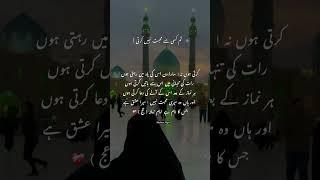Khadima-e-Hujjat Imam ehdi (af) ki yaad.