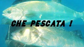 Pescasub: WOW che pescata!