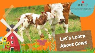 Let's Learn About Cows! preschool learning videos for kids | cow video for kids | cow sounds