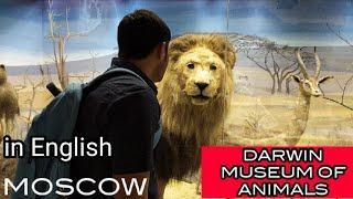 Darwin museum of animals Moscow Russia 2020| Indian in Russia| (in English)