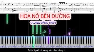 HOA NỞ BÊN ĐƯỜNG - QUANG ĐĂNG TRẦN | Sheet Free