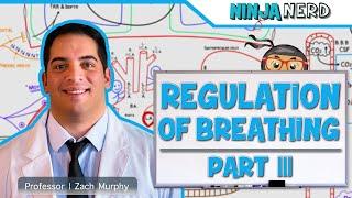 Respiratory | Regulation of Breathing: Factors Influencing Rate and Depth: Part 3