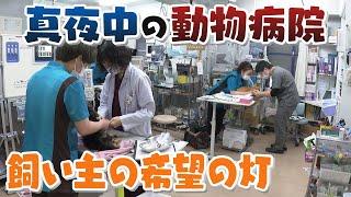 【人間模様】夜間専門の動物病院に密着　飼い主の希望の灯り　【真夜中の定点観測】