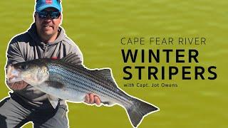 Cape Fear River Winter Stripers, with Capt. Jot Owens