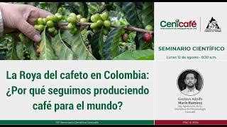 La Roya del Café en Colombia: ¿por qué seguimos produciendo café para el mundo?