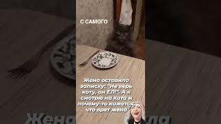  Не верь коту!