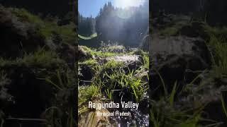 Aaj hi visit p jao is valley m Rajgundha valley #shorts #hikewithlucky