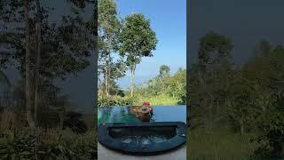 #mundukmodingplantation #nature