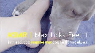 Max Licks | Clean Feet | ASMR DOG LICKING | NO TALKING