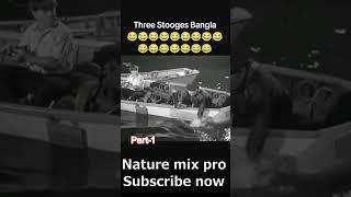 #funnyshorts video. #nice #entertainment video..