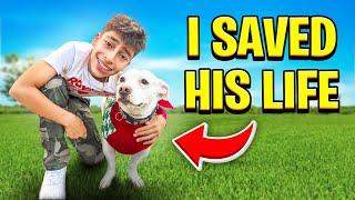 We Saved a Puppy's Life! ️