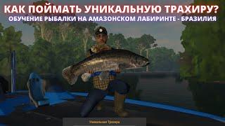 Fishing Planet | КАК И ГДЕ ПОЙМАТЬ УНИКАЛЬНУЮ ТРАХИРУ НА АМАЗОНКЕ? ПОДРОБНЫЙ ГАЙД ПО ЛОВЛЕ ТРАХИР!