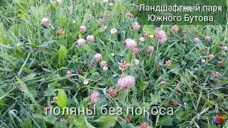 "Бесконтрольный покос травы"