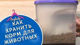 Хранение сухого корма для домашних животных. Заготовки мяса для кота.