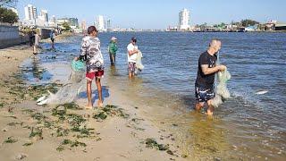 Pesca de tarrafas, 12-03-24, Barra de Tramandaí, RS. #pescadetarrafas #netfishing #pescarias #fish