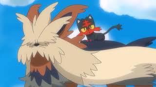 [Pokemon AMV] Litten & Stoutland - Memories