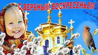 Вербное Воскресенье ,красивое поздравление. Музыкальная видео открытка с Вербным Воскресеньем 2020 !