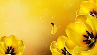 Flower Background Video Effects HD | 4K Animation Leaves Growth Animation Title Screen AA VFX