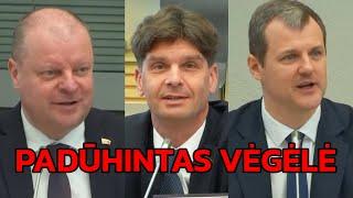 Skvernelis PASTATO VĖGĖLĘ. ŽEMAITAITĮ IR AMERIKĄ Į VIETĄ 