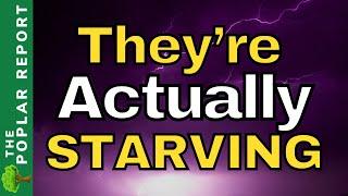 This ISN’T Isolated Either - Food Shortage Updates