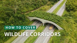 How to Cover Wildlife Corridors | Mongabay Webinars