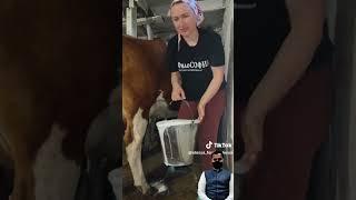 کتنی خوبصورت لڑکی ہے اور دودھ نکال لیا