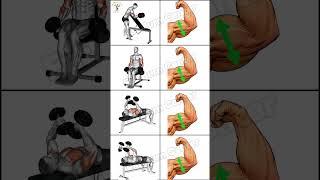 Best arm workout by dumbbellsBiceps and triceps workouts at gym and home