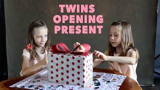 EGG-SURPRISE BIRTHDAY PRESENT | Bidun Twins Vlog