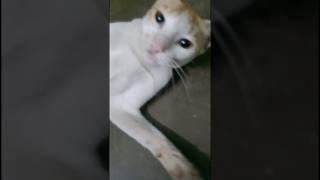$Kitna ©ute ho geya khushi$