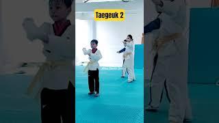Taekwondo Yellow Belt Taegeuk 2 #taekwondo #martialarts #taegeuk