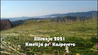 Siliranje 2021 - Kmetija pr' Kašperevc