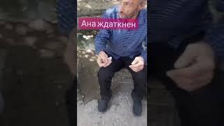Абоси Гарми 2023 мардуми европа