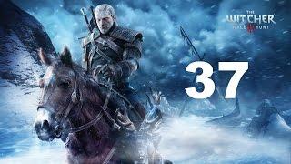 The Witcher 3 Wild Hunt Прохождение Серия 37 (Дама в беде)