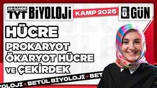 8) Hücre | 2025 TYT Biyoloji Kampı 8. Video