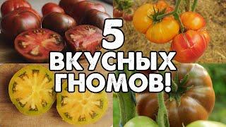 5 ВКУСНЫХ ТОМАТОВ ИЗ ПРОЕКТА "ТОМАТНЫЙ ГНОМ"!