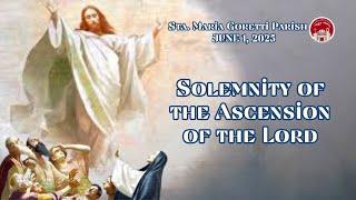 June 1, 2025 / Solemnity of the Ascension of the Lord
