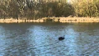 Angling Technics Baitboats Video Microcat Mk III Technicat